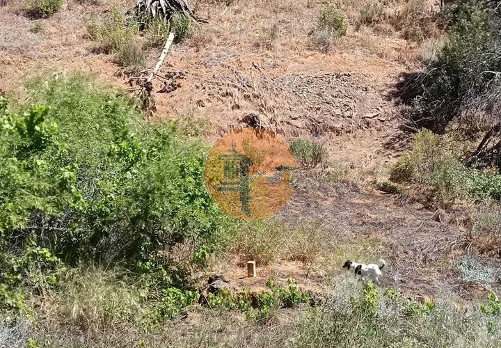 Helårsgrund i Castro Marim, Faro, Castro Marim - € 9.000 | Ref: SU-CS-TR-89635 - foto 1