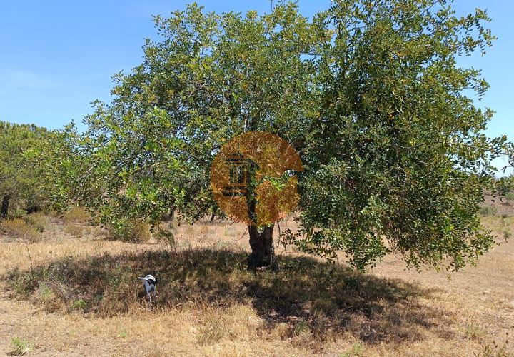 Helårsgrund i Castro Marim, Faro, Castro Marim - € 22.500 | Ref: SU-CS-TR-89690 - foto 1