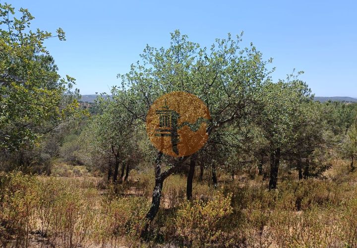 Helårsgrund i Castro Marim, Faro, Castro Marim - € 12.500 | Ref: SU-CS-TR-89693 - foto 1