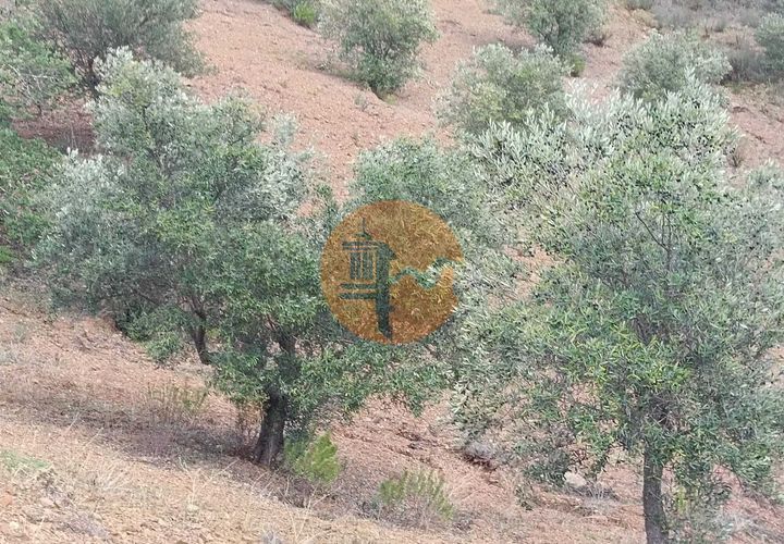 Helårsgrund i Castro Marim, Faro, Castro Marim - € 36.000 | Ref: SU-CS-TR-90763 - foto 1