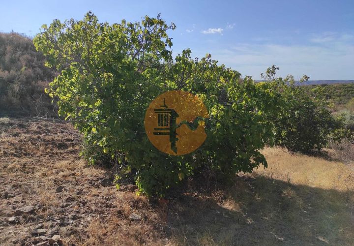 Helårsgrund i Castro Marim, Faro, Castro Marim - € 27.500 | Ref: SU-CS-TR-90909 - foto 1