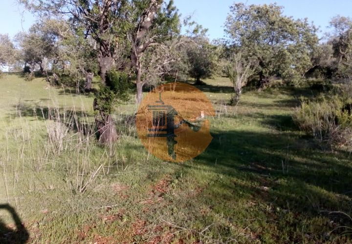 Helårsgrund i Paderne, Faro, Paderne - € 44.000 | Ref: SU-CS-TER_23873 - foto 1