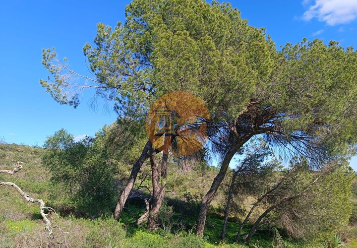 Helårsgrund i Castro Marim, Faro, Castro Marim - € 21.000 | Ref: SU-CS-TR-91225 - foto 1