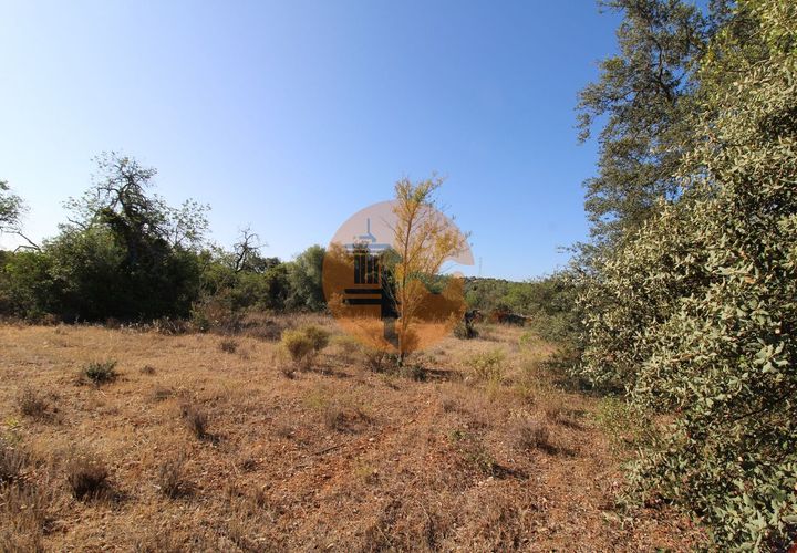 Terra a Estoi, Faro, Estoi - € 56.150 | Ref: SU-CS-TR-90102 - foto 1