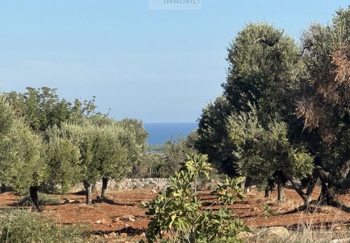 Helårsgrund i Carovigno, Brindisi, Carovigno - € 90.000 | Ref: tem9 - foto 1