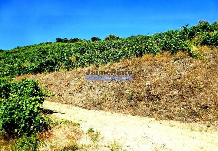 Farm i Alijo, Vila Real, Alijo - € 1.250.000 | Ref: 9591_Q - foto 1