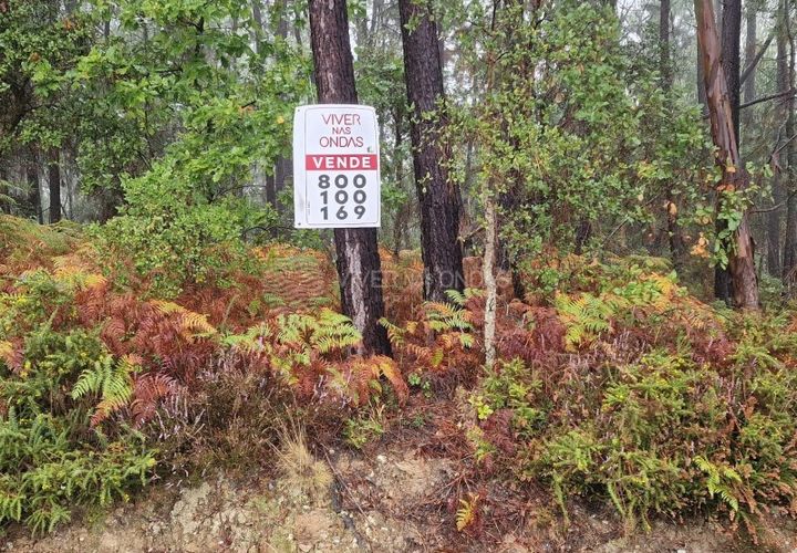 Helårsgrund i Serta, Castelo Branco, Serta - € 30.000 | Ref: JD-1042 - foto 1