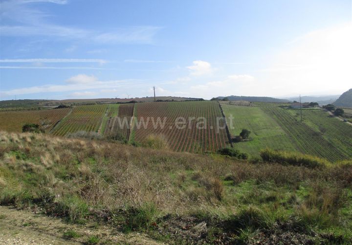 Helårsgrund i Torres Vedras, Lisbon, Torres Vedras - € 25.000 | Ref: 295180263 - foto 1