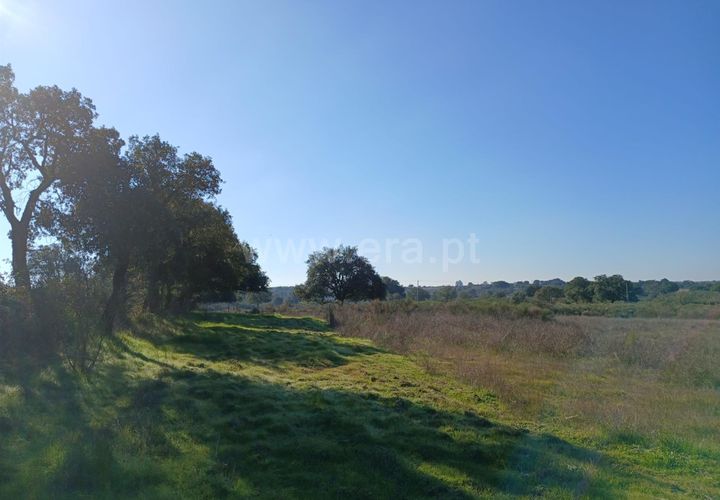 Tomt i Nisa, Portalegre, Nisa - € 37 500 | Ref: 102250004 - foto 1