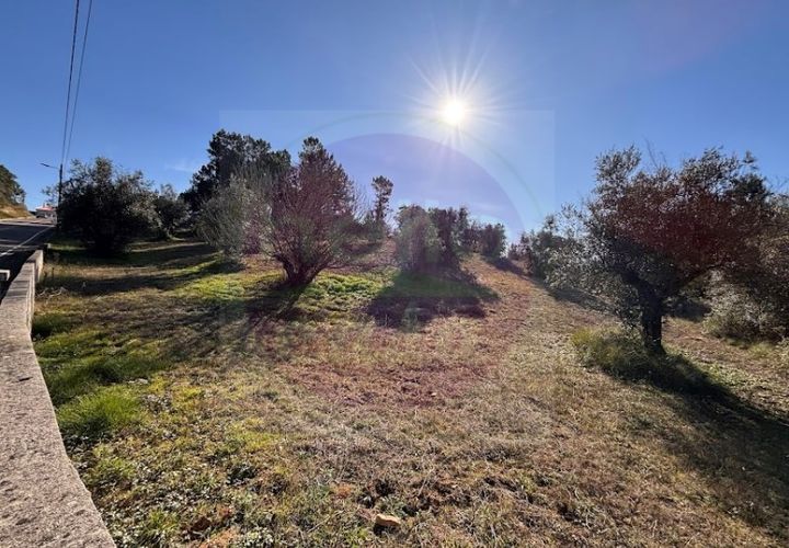 Helårsgrund i Tomar, Santarem, Tomar - € 23.000 | Ref: T 312 - foto 1