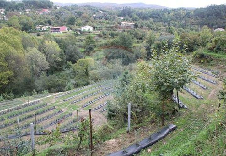 Helårsgrund i Terras de Bouro, Braga, Terras de Bouro - € 50.000 | Ref: 123331056-1019 - foto 1