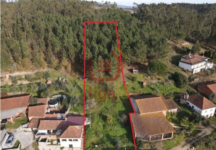 Terra a Freixianda, Santarem, Freixianda - € 15.000 | Ref: 1303 - foto 1