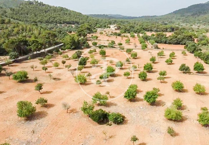 Terra a Manacor, Mallorca, Manacor - € 390.000 | Ref: VPM2307004 - foto 1