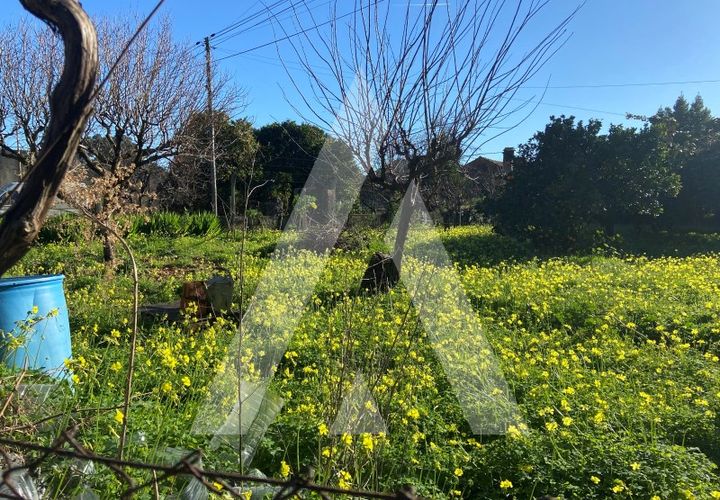 Helårsgrund i Anadia, Aveiro, Anadia - € 38.000 | Ref: 1051259/25 OB - foto 1