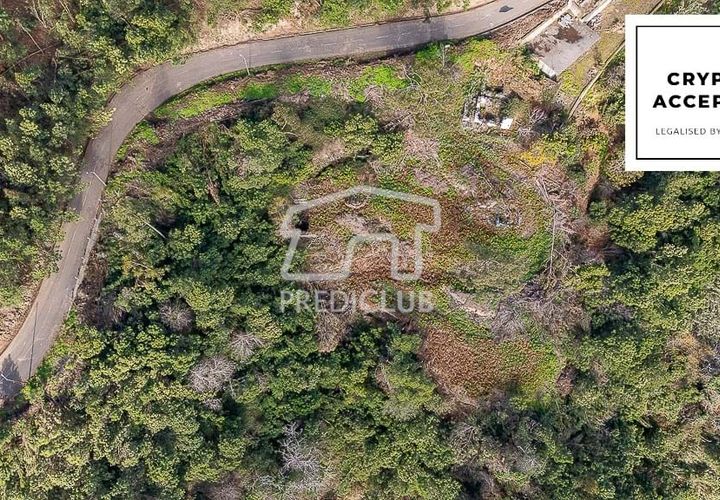 Terra a Ribeira Brava, Madeira, Ribeira Brava - € 285.000 | Ref: 11415-JR - foto 1
