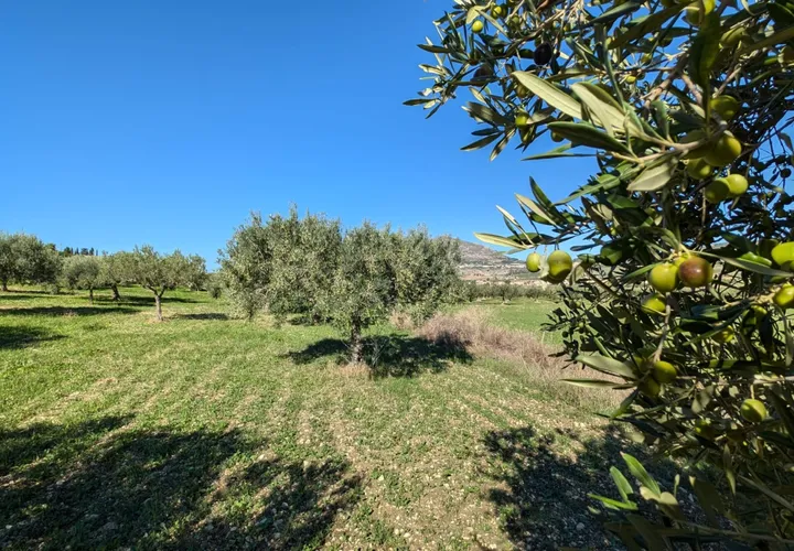 Terra a Valderice, Trapani, Valderice - € 67.000 | Ref: Plot Donna Agosta - foto 1