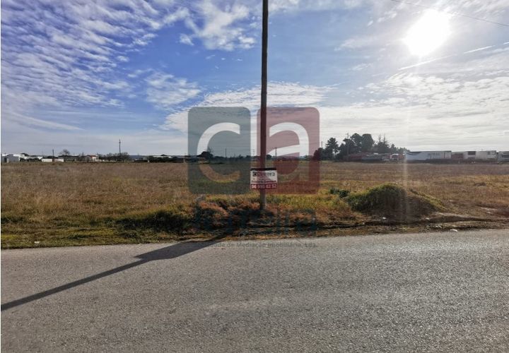 Helårsgrund i Alpiarca, Santarem, Alpiarca - € 40.000 | Ref: TERR4341 - foto 1