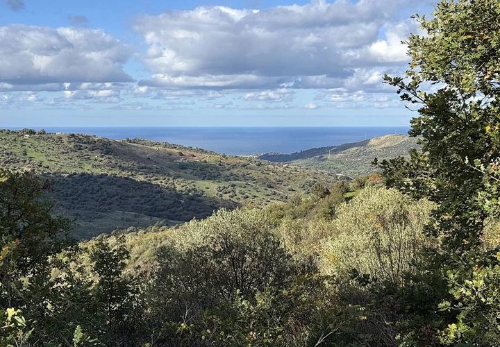 Terra a Collesano, Palermo, Collesano - € 100.000 | Ref: Plot Cinzia - Collesano - foto 1