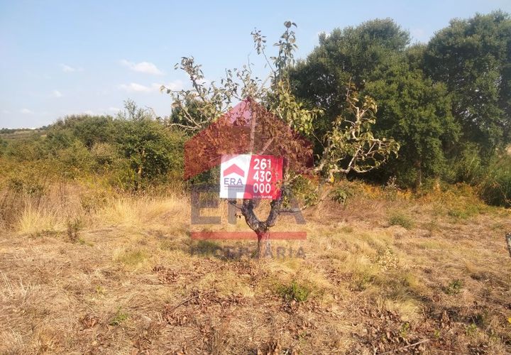 Terra a Carvalhal, Leiria, Carvalhal - € 60.000 | Ref: 130240187 - foto 1
