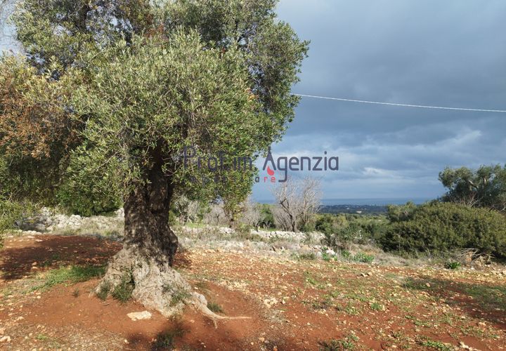 Helårsgrund i Carovigno, Brindisi, Carovigno - € 550.000 | Ref: 122833 - foto 1