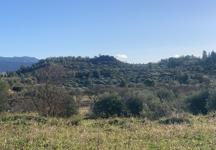 Helårsgrund i Asco, Tarragona, Asco - € 25.000 | Ref: Asc05jam - foto 1
