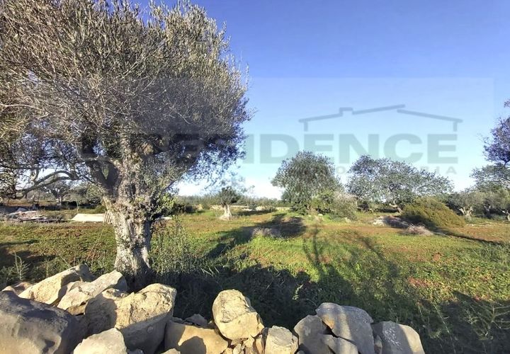 Helårsgrund i Ferreiras, Faro, Ferreiras - € 89.000 | Ref: TR-05 - foto 1