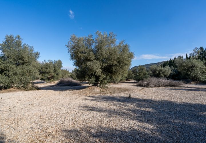 Finca i Ulldecona, Tarragona, Ulldecona - € 12.500 | Ref: 167 - foto 1