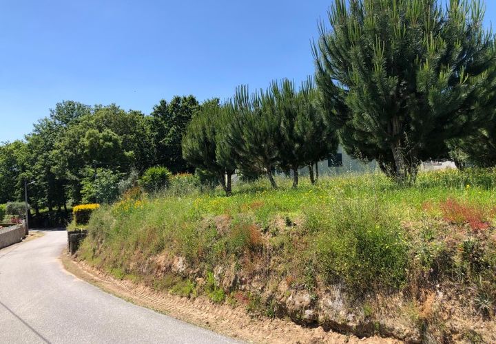 Helårsgrund i Santa Comba Dao, Viseu, Santa Comba Dao - € 17.500 | Ref: SALI0189 - foto 1
