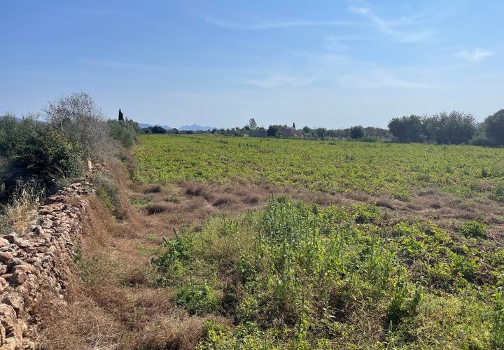 Helårsgrund i Buger, Mallorca, Buger - € 520.000 | Ref: BUG0642 - foto 1