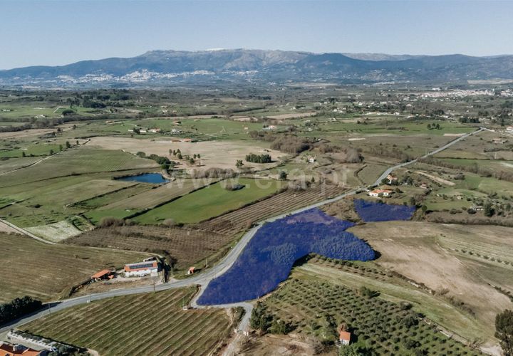 Terra a Belmonte, Castelo Branco, Belmonte - € 60.000 | Ref: 111250004 - foto 1