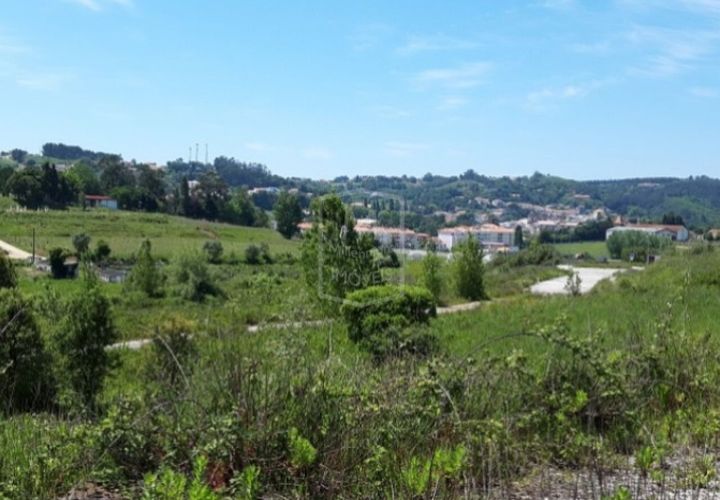 Helårsgrund i Alcobaca, Leiria, Alcobaca - € 7.250.000 | Ref: AV-PBI-1253 - foto 1