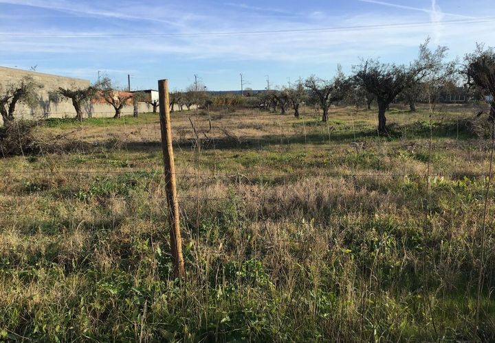 Helårsgrund i Abrantes, Santarem, Abrantes - € 25.000 | Ref: SF-SAFTI:006257 - foto 1