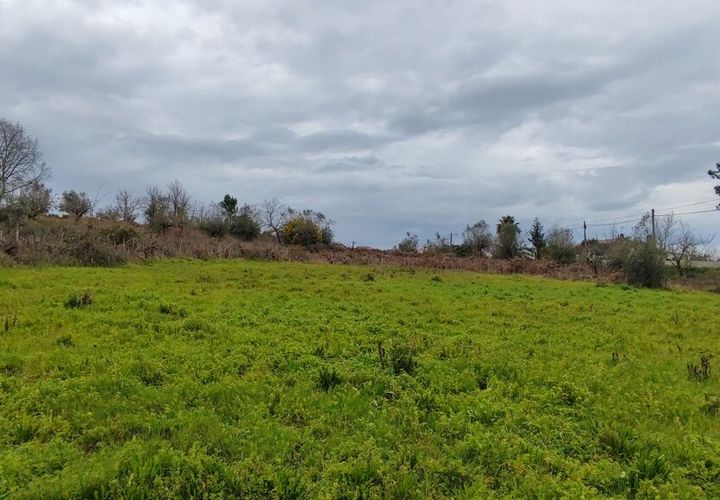 Helårsgrund i Leiria, Leiria, Leiria - € 840.000 | Ref: SF-SAFTI:001739 - foto 1
