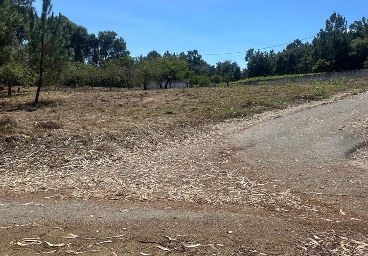 Helårsgrund i Alcobaca, Leiria, Alcobaca - € 70.000 | Ref: SF-SAFTI:005150 - foto 1