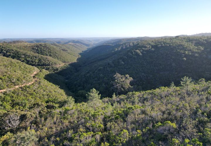 Terra a Bordeira, Faro, Bordeira - € 30.000.000 | Ref: SF-SAFTI:005322 - foto 1
