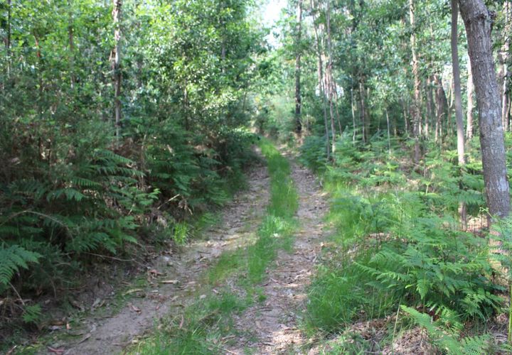 Helårsgrund i Moncao, Viana do Castelo, Moncao - € 535.000 | Ref: SF-SAFTI:003340 - foto 1