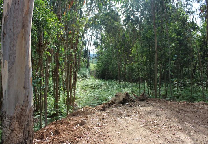 Helårsgrund i Moncao, Viana do Castelo, Moncao - € 70.000 | Ref: SF-SAFTI:003337 - foto 1