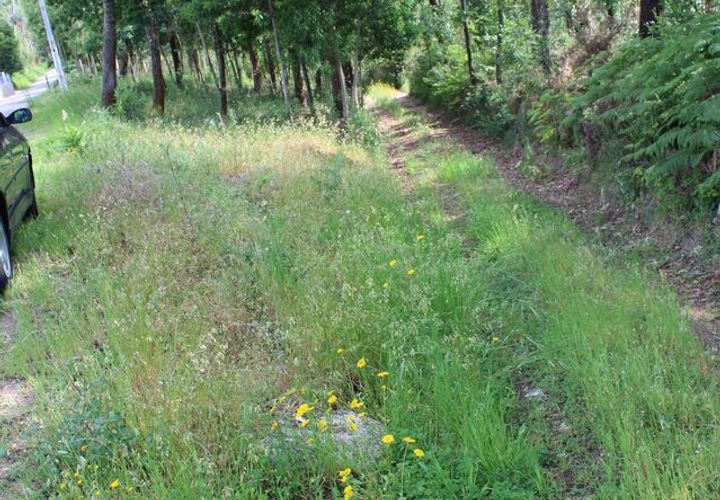 Helårsgrund i Moncao, Viana do Castelo, Moncao - € 70.000 | Ref: SF-SAFTI:003335 - foto 1