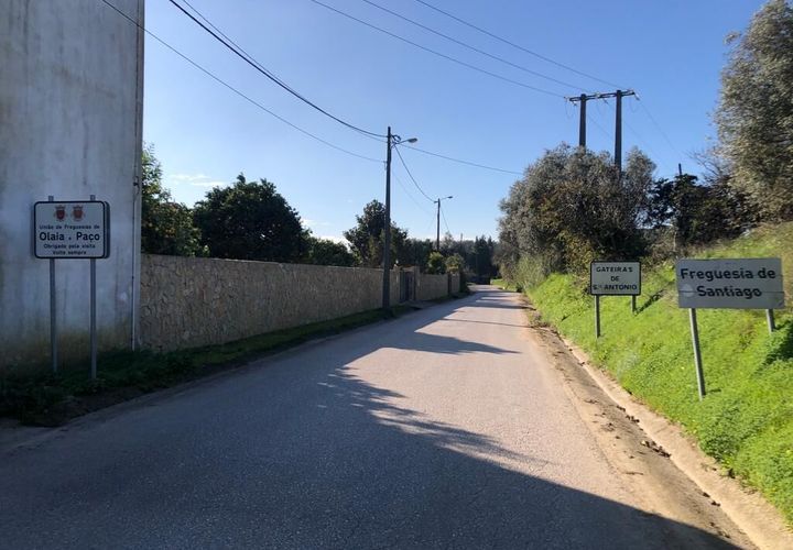 Terra a Olaia e Paco, Santarem, Olaia e Paco - € 33.000 | Ref: SF-SAFTI:004383 - foto 1