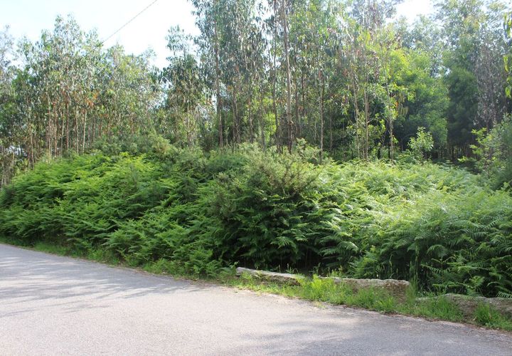 Helårsgrund i Moncao, Viana do Castelo, Moncao - € 45.000 | Ref: SF-SAFTI:003339 - foto 1