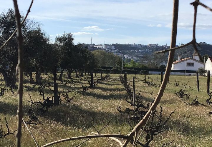 Helårsgrund i Abrantes, Santarem, Abrantes - € 55.000 | Ref: SF-SAFTI:003212 - foto 1