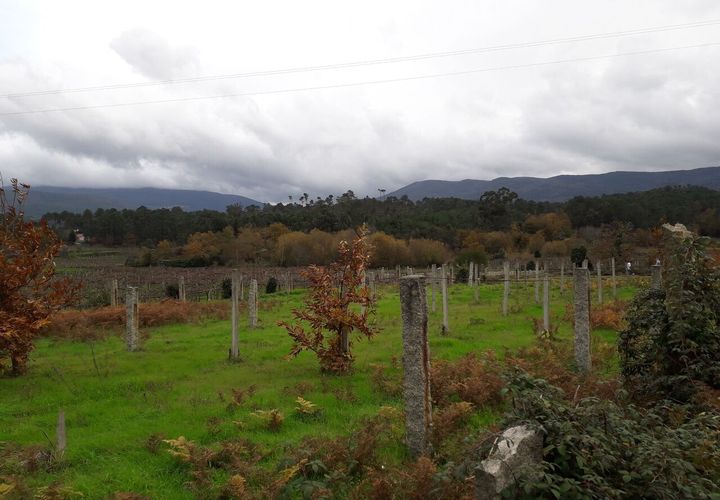 Helårsgrund i Moncao, Viana do Castelo, Moncao - € 46.000 | Ref: SF-SAFTI:00632 - foto 1