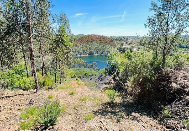 Helårsgrund i Tomar, Santarem, Tomar - € 50.500 | Ref: RR-121161094-100 - foto 1