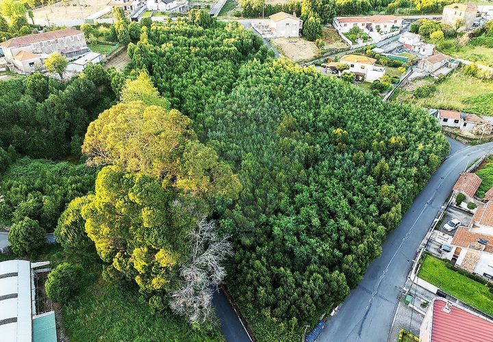 Helårsgrund i Mozelos, Aveiro, Mozelos - € 495.000 | Ref: PE-123751391-181 - foto 1