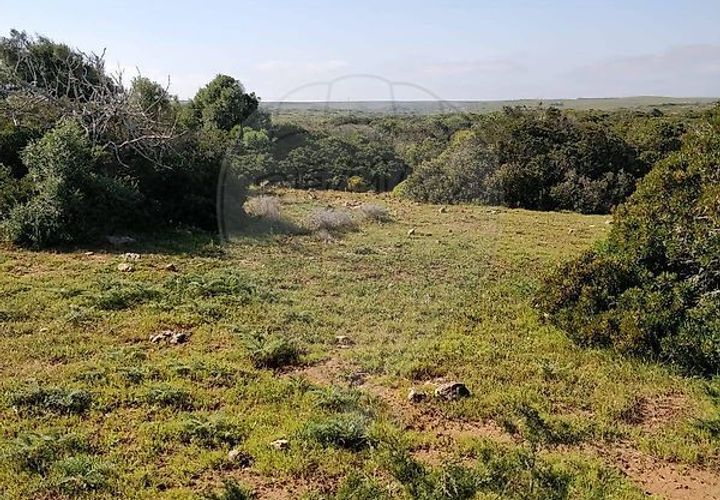 Helårsgrund i Sagres, Faro, Sagres - € 15.000 | Ref: ON-123041058-21 - foto 1