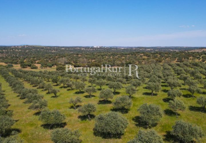 Grond in Avis, Portalegre, Avis - € 1.180.000 | Ref: IM488 - foto 1