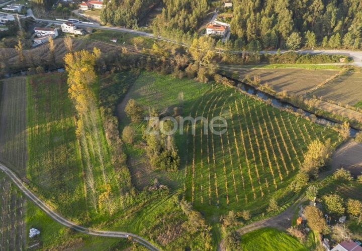 Terra a Sobreira, Porto, Sobreira - € 39.000 | Ref: ZMPT570602 - foto 1