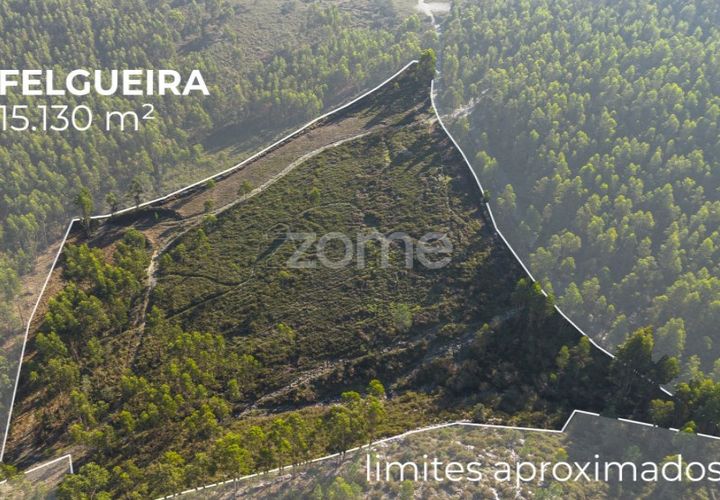Terra a Sobreira, Porto, Sobreira - € 31.000 | Ref: ZMPT570597 - foto 1