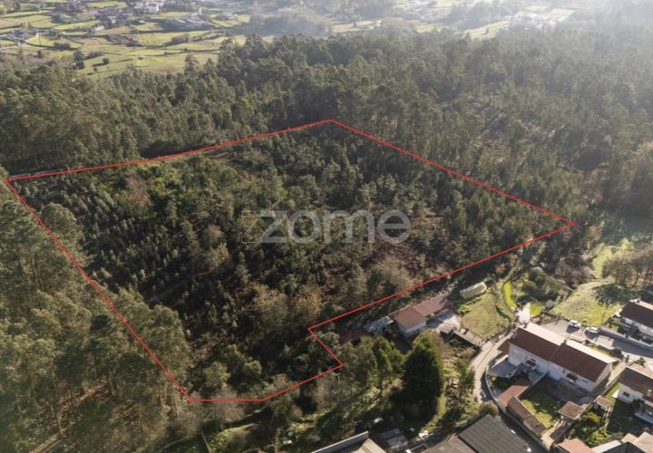 Helårsgrund i Argoncilhe, Aveiro, Argoncilhe - € 790.000 | Ref: ZMPT563841 - foto 1