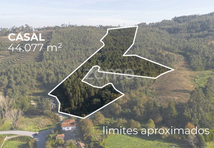 Terra a Sobreira, Porto, Sobreira - € 202.000 | Ref: ZMPT570595 - foto 1